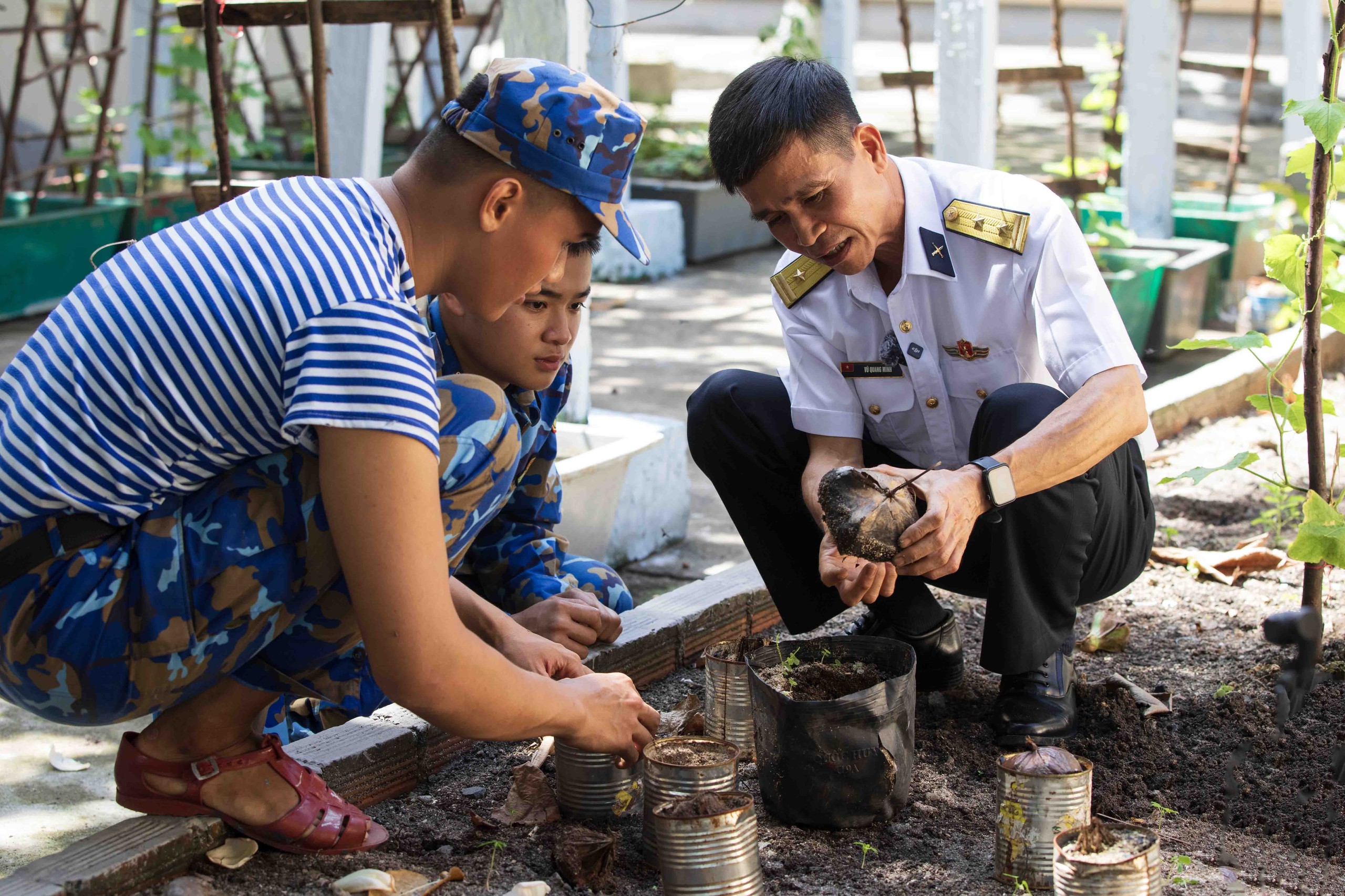 Tết ở Trường Sa - Kỳ 7: Sinh Tồn xanh xanh- Ảnh 12.