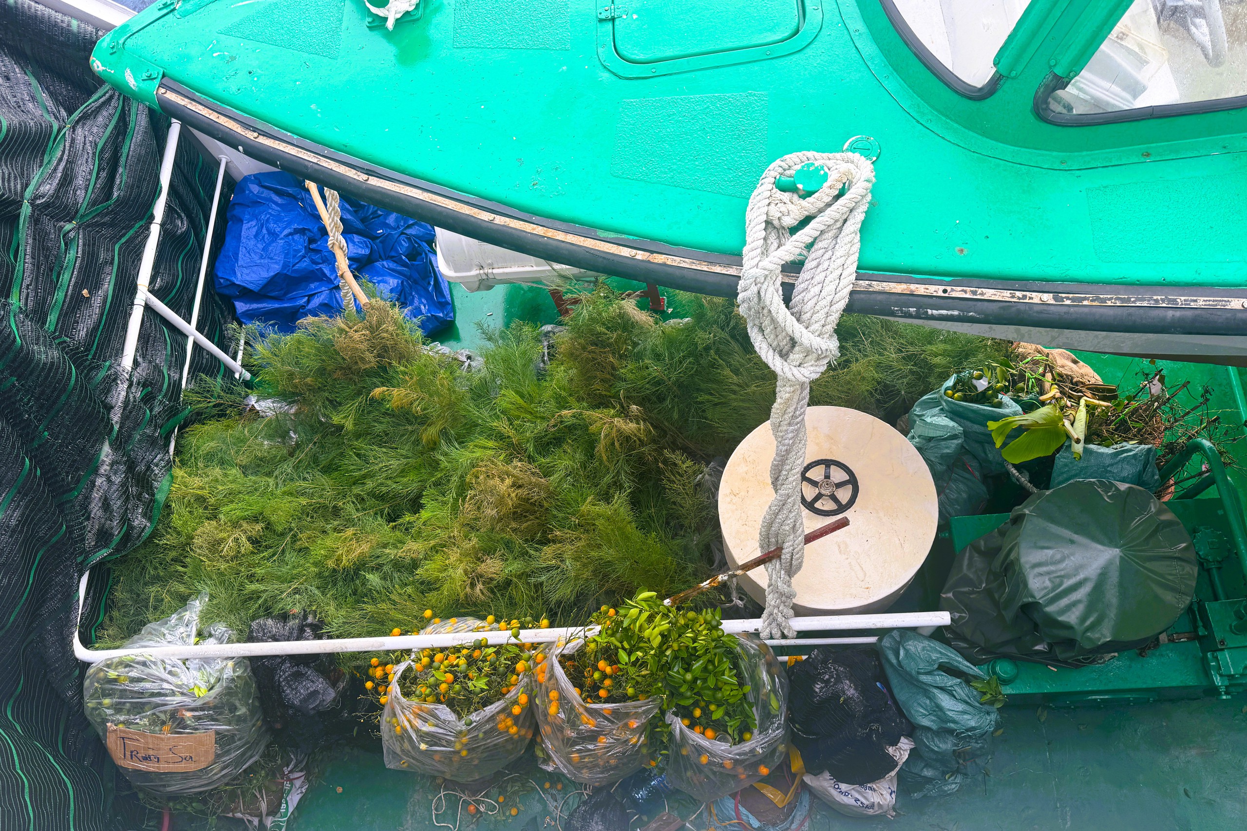 Tết ở Trường Sa - Kỳ 7: Sinh Tồn xanh xanh- Ảnh 14.