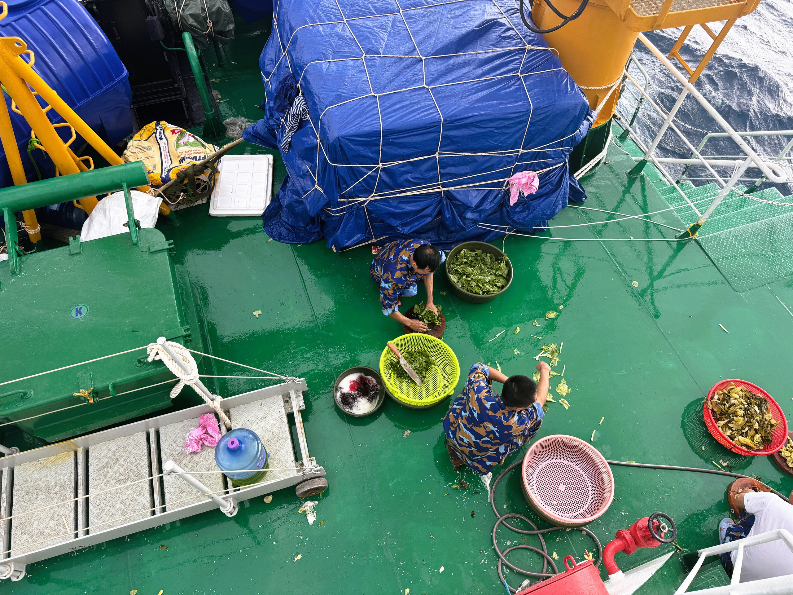 Tết ở Trường Sa - Kỳ 7: Sinh Tồn xanh xanh- Ảnh 16.