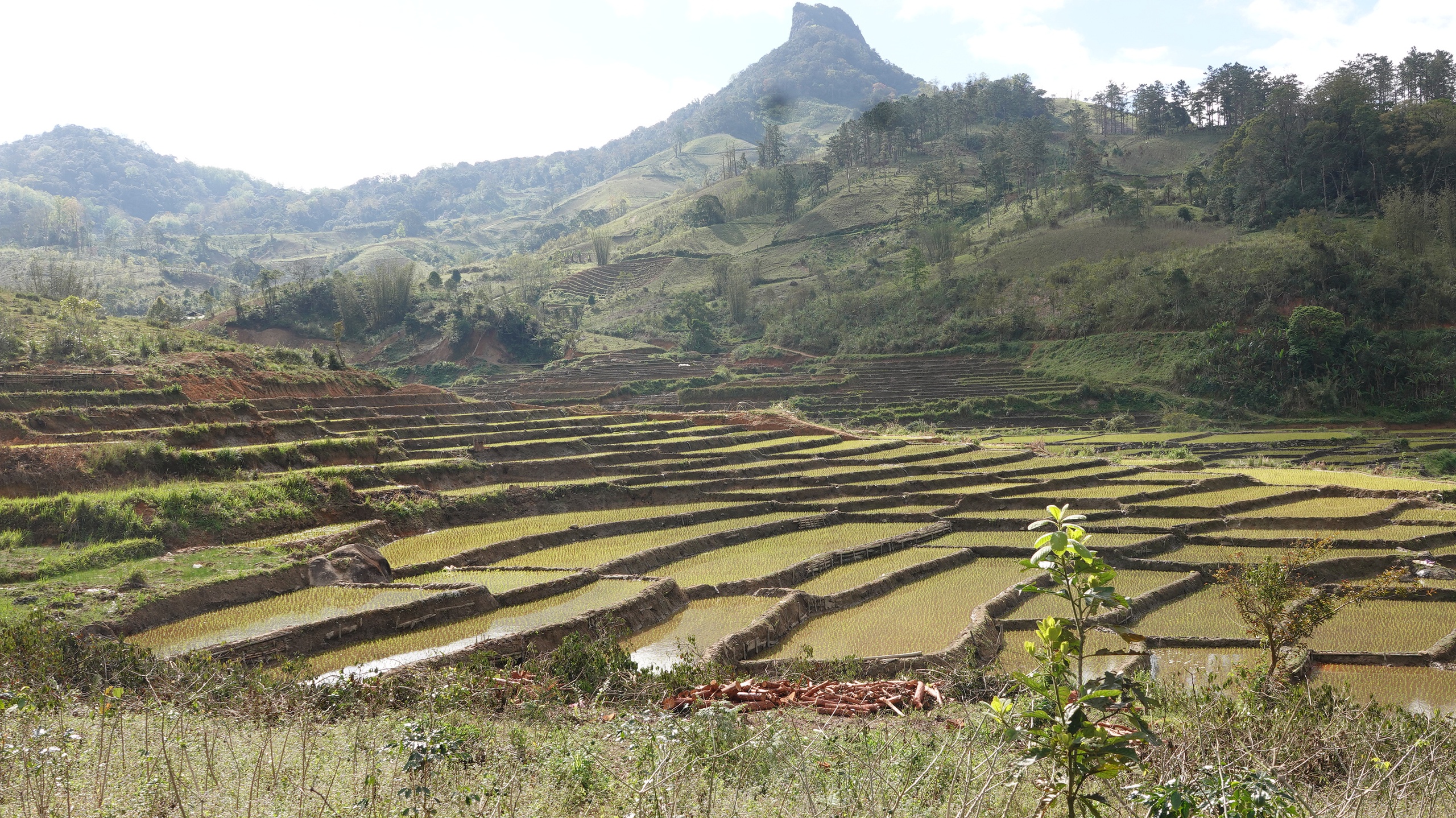 Tết ở xứ mưa 9 tháng: ‘Đặc sản’ giữa thung lũng Peng Lang- Ảnh 6.