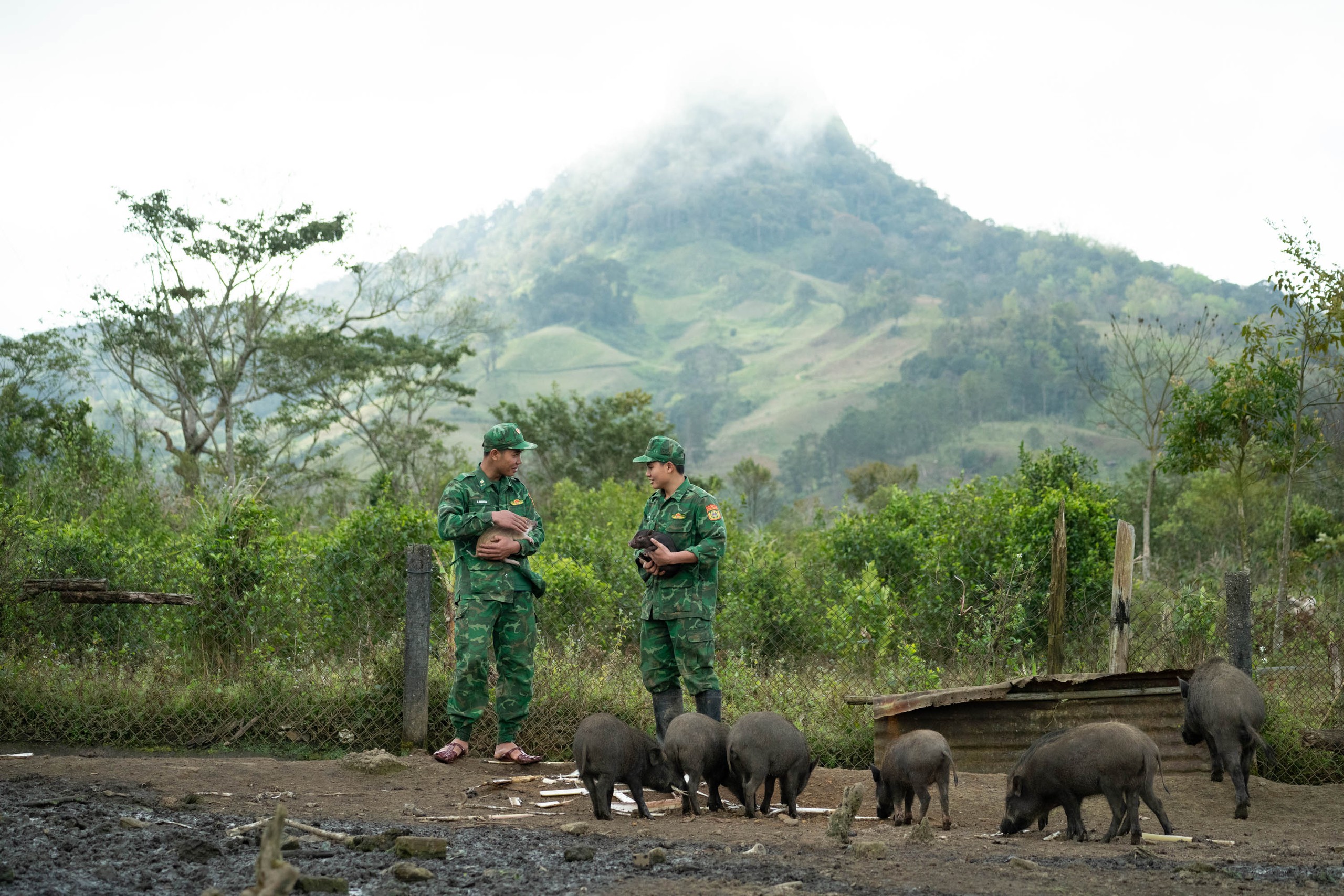 Tết ở xứ mưa 9 tháng: ‘Đặc sản’ giữa thung lũng Peng Lang- Ảnh 8.
