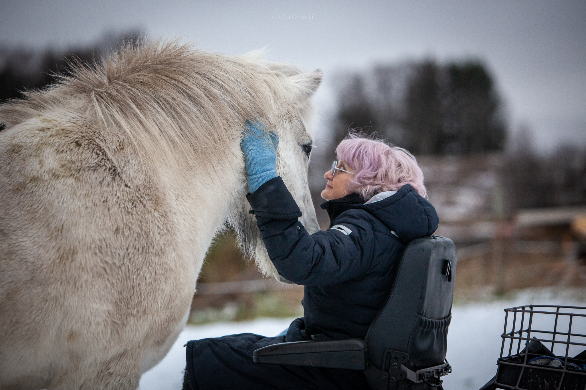 Vì sao con người không thuần hóa được ngựa vằn? 3 ngựa vằn - Ảnh 3.