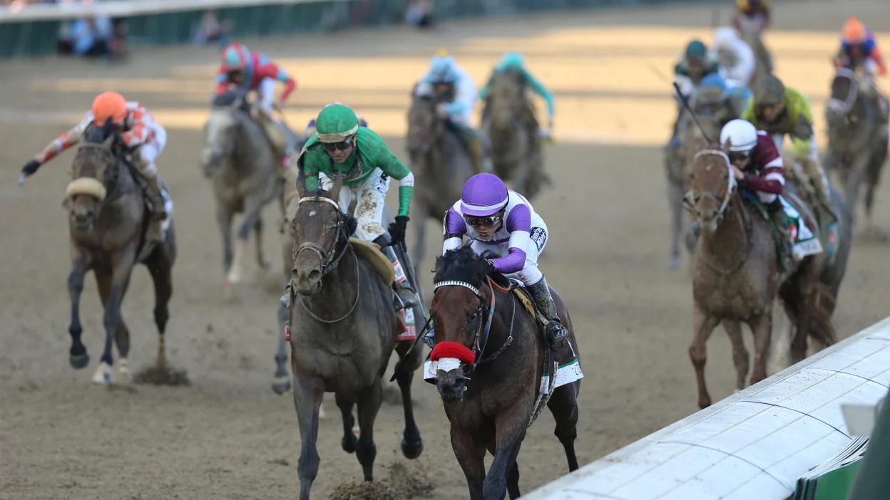 Vì sao con người không thuần hóa được ngựa vằn? 4 ngựa vằn - Ảnh 4.