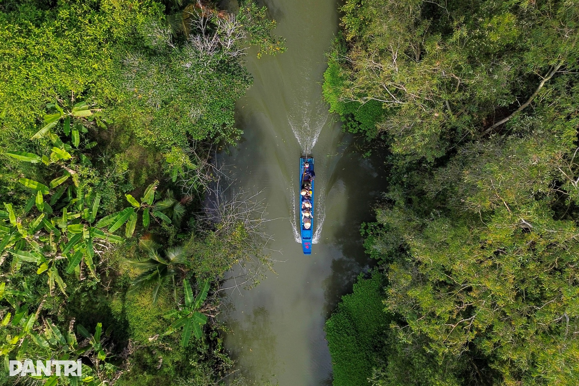 Khách Tây mê mẩn đi vỏ lãi tham quan rừng tràm, ngắm chim cò ở miền Tây - 12