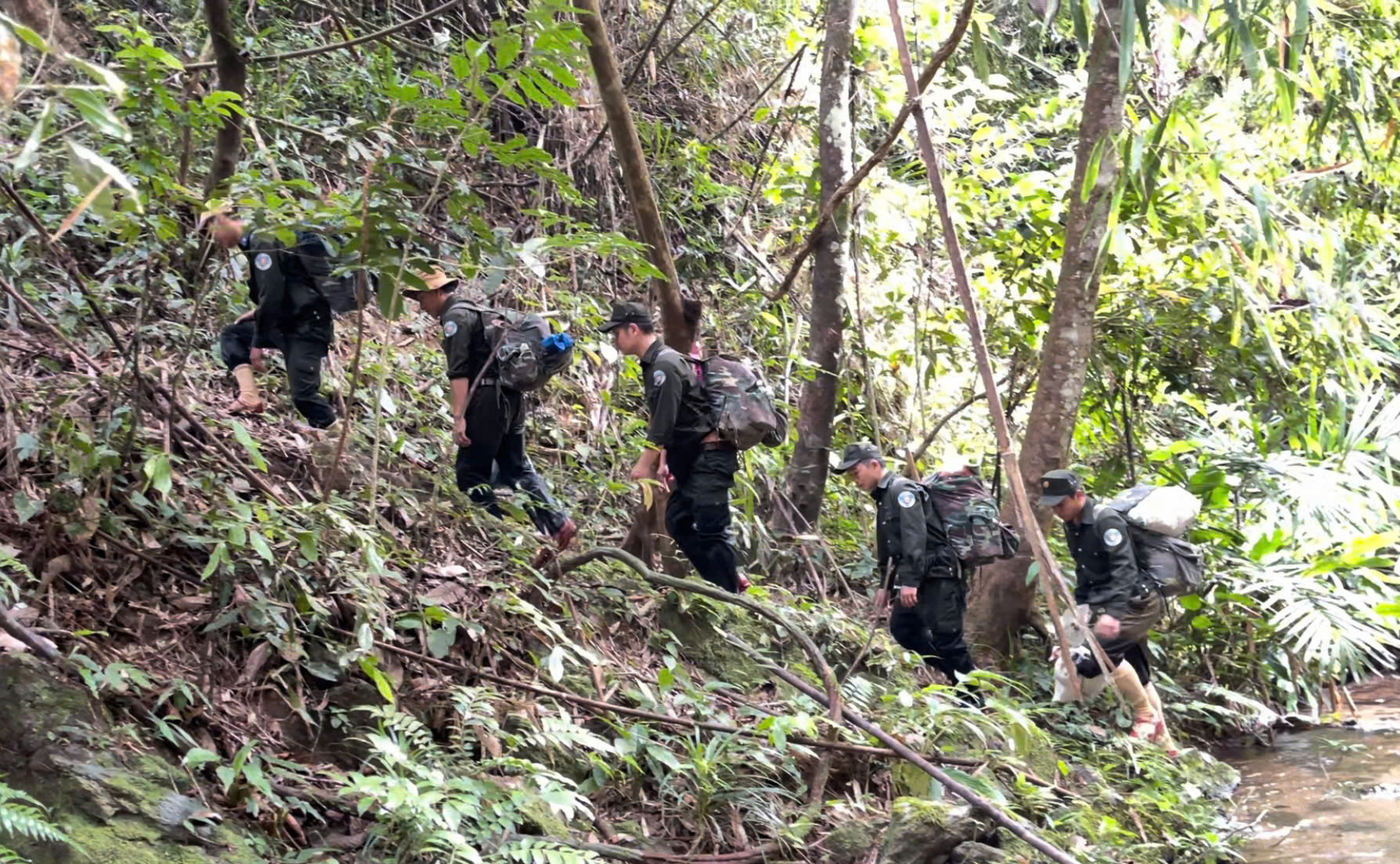Bí ẩn lòai kỳ lân Châu Á và hành trình tìm kiếm sao la - Ảnh 3.