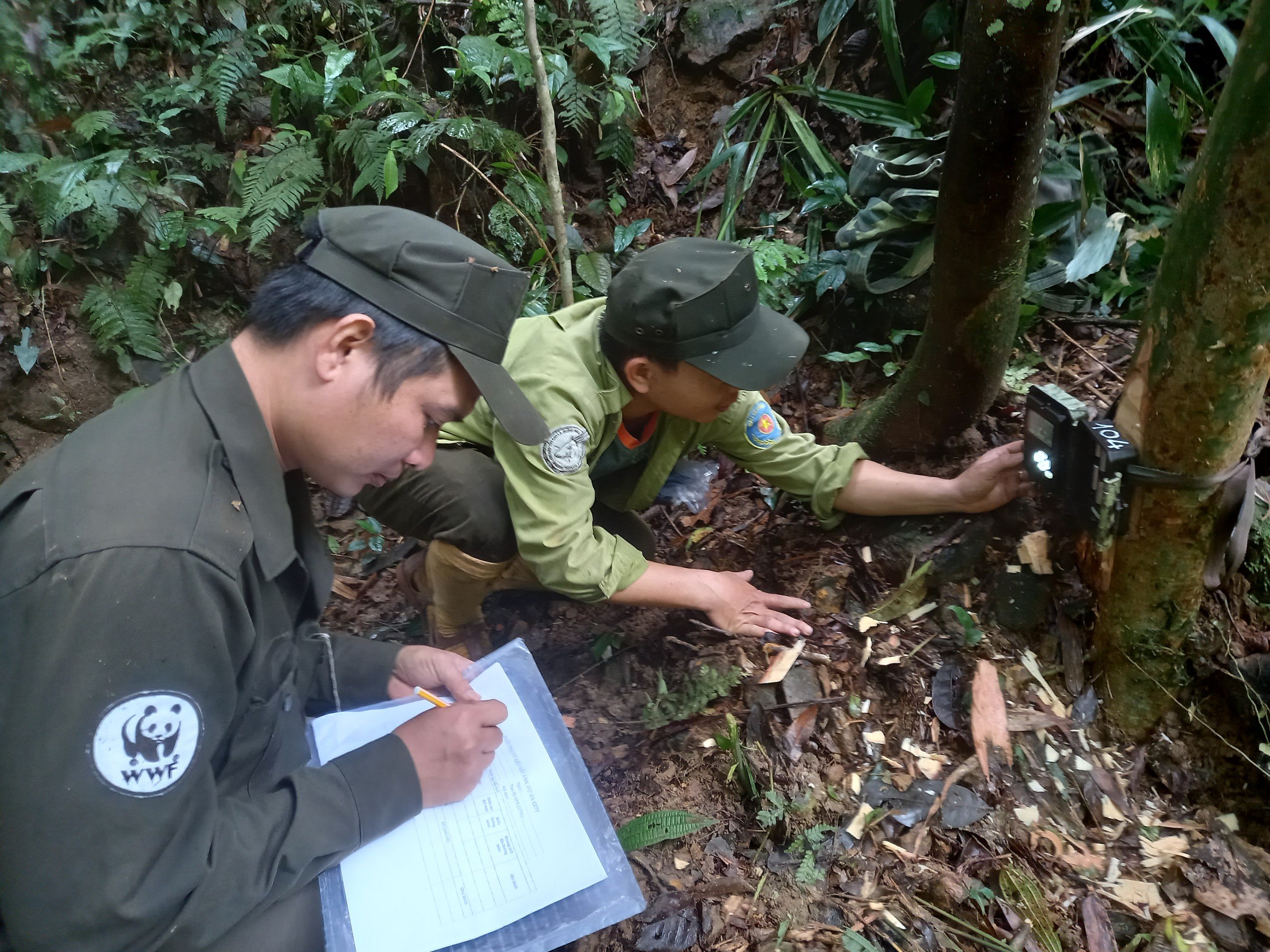 Bí ẩn lòai kỳ lân Châu Á và hành trình tìm kiếm sao la - Ảnh 4.