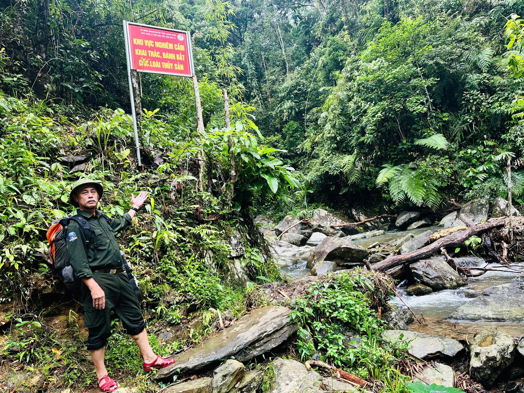 Bí ẩn lòai kỳ lân Châu Á và hành trình tìm kiếm sao la - Ảnh 14.