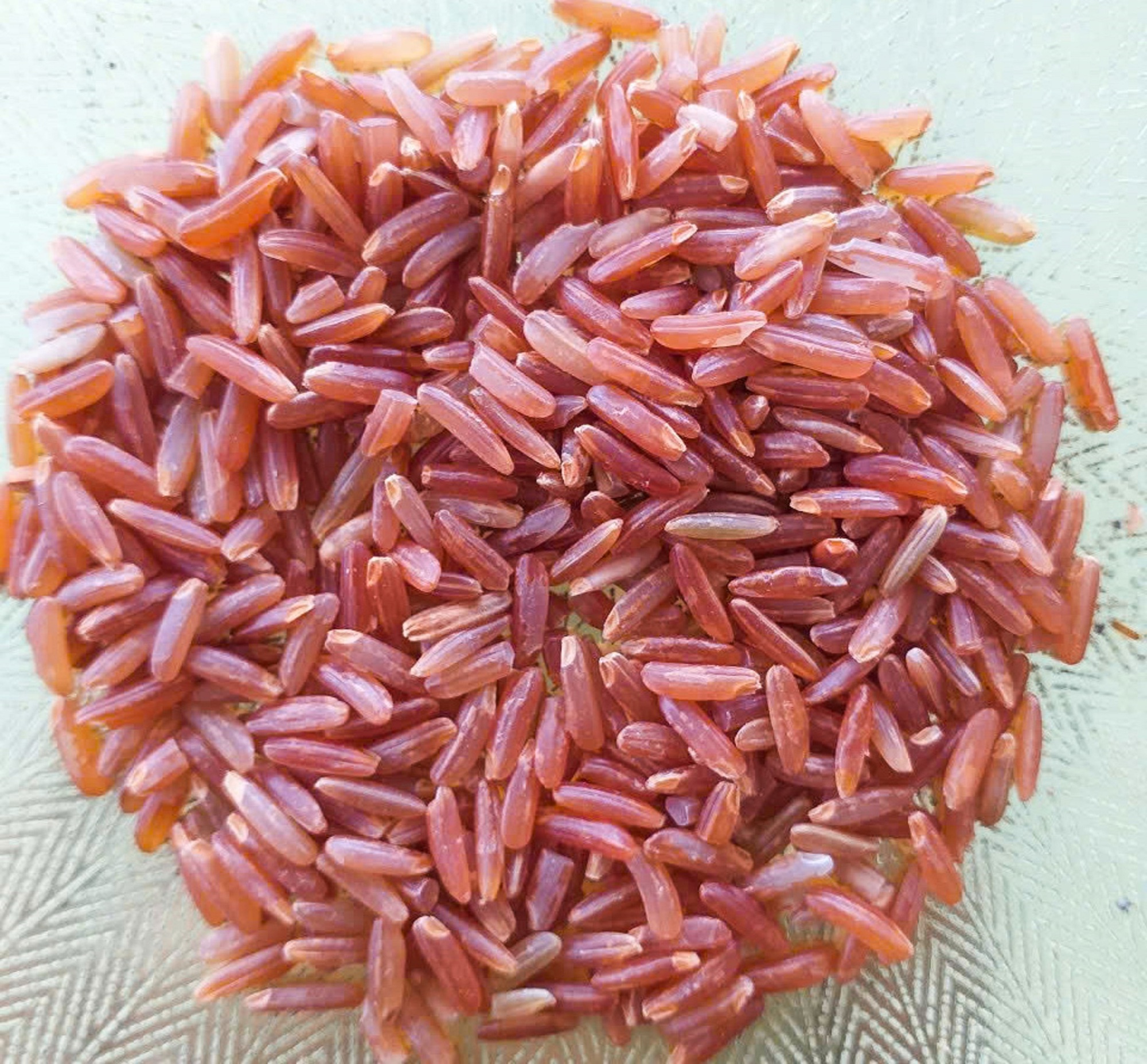 Hành trình hồi sinh gạo đỏ đặc sản miền Tây - Ảnh 2. Hành trình hồi sinh gạo đỏ đặc sản miền Tây - Ảnh 2.