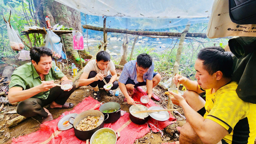 Gác niềm riêng, giữ rừng xuyên Tết - Ảnh 4.