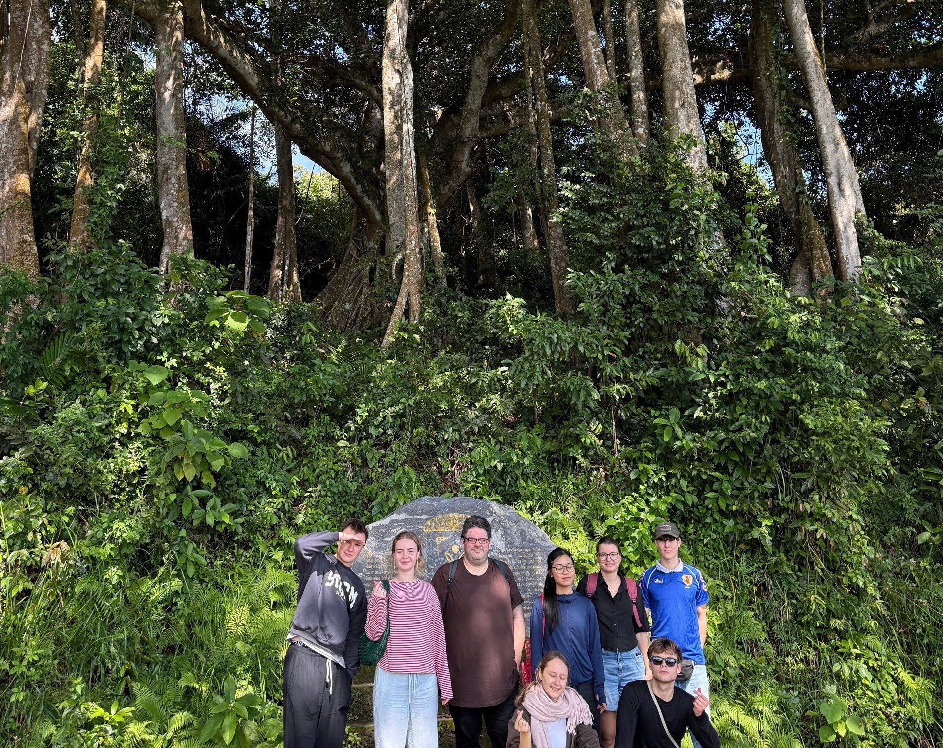 Dưới tán đa nghìn năm ở Sơn Trà, du khách nghe rừng 