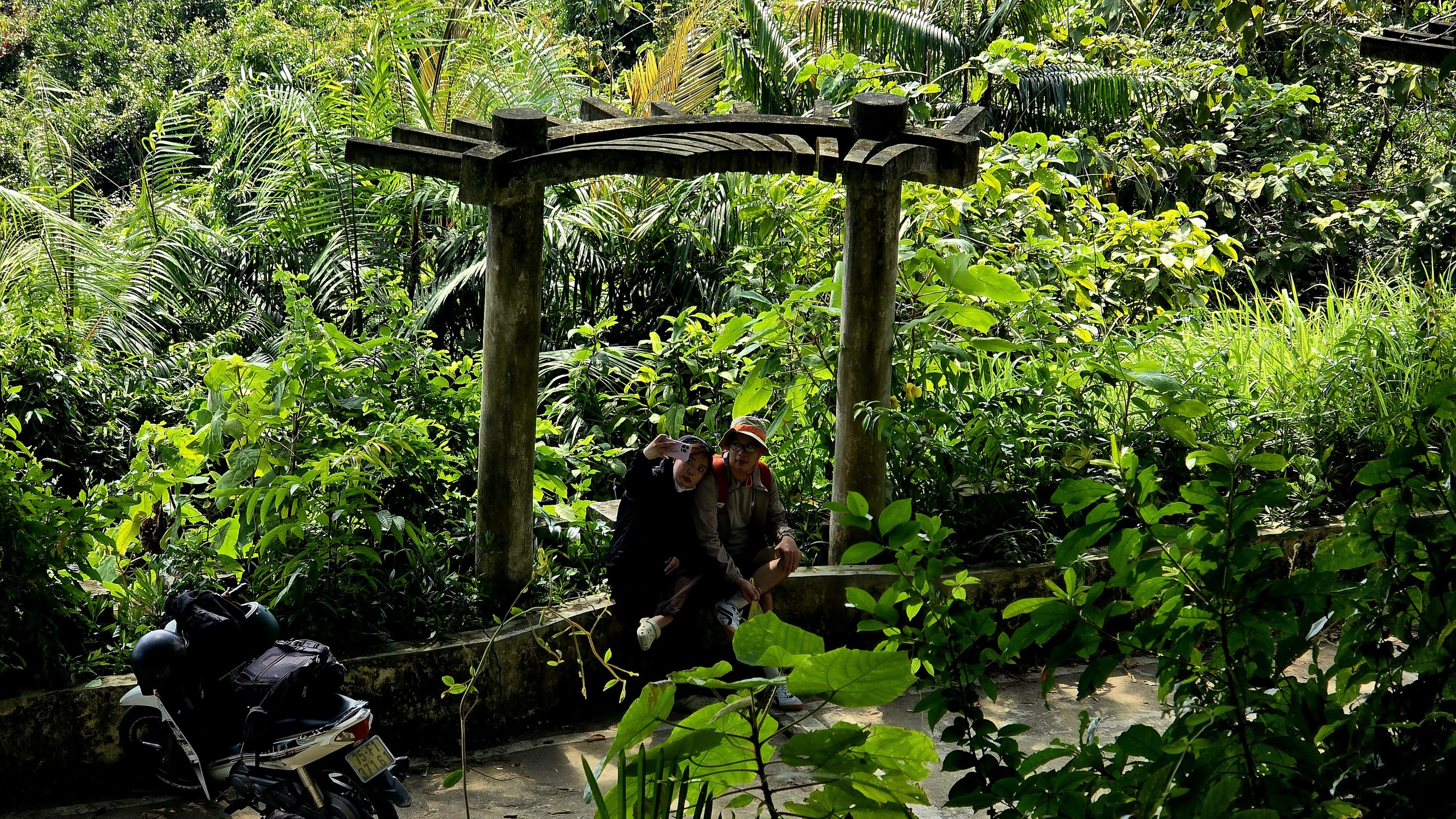 Dưới tán đa nghìn năm ở Sơn Trà, du khách nghe rừng 