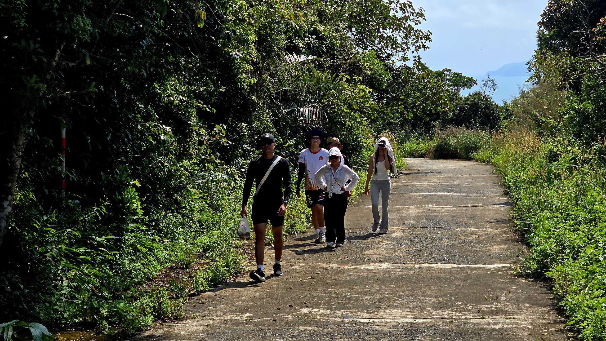 Dưới tán đa nghìn năm ở Sơn Trà, du khách nghe rừng 