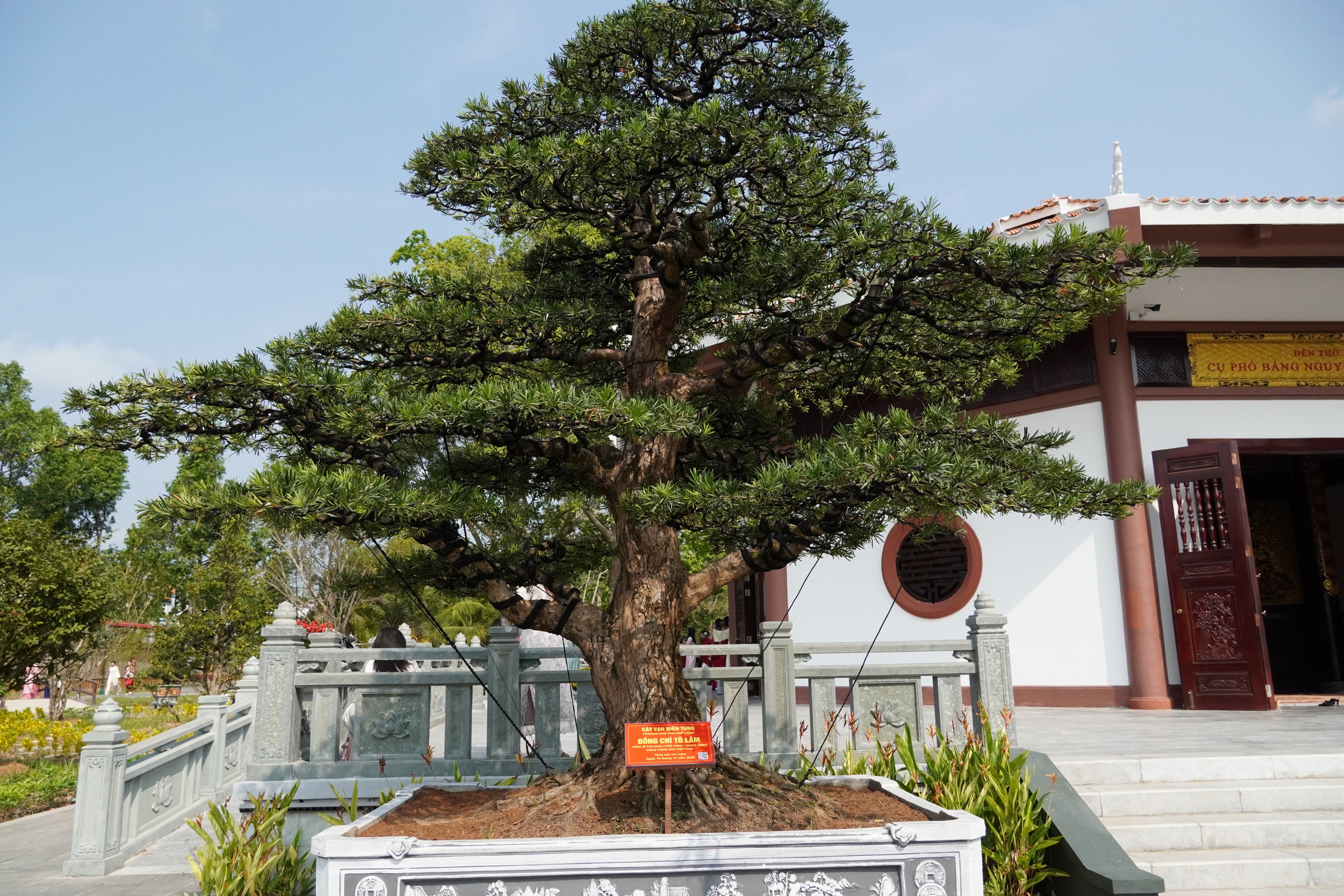 Những “địa chỉ đỏ” không thể bỏ qua khi đến Đồng Tháp 13 Những “địa chỉ đỏ” không thể bỏ qua khi đến Đồng Tháp - Ảnh 13.