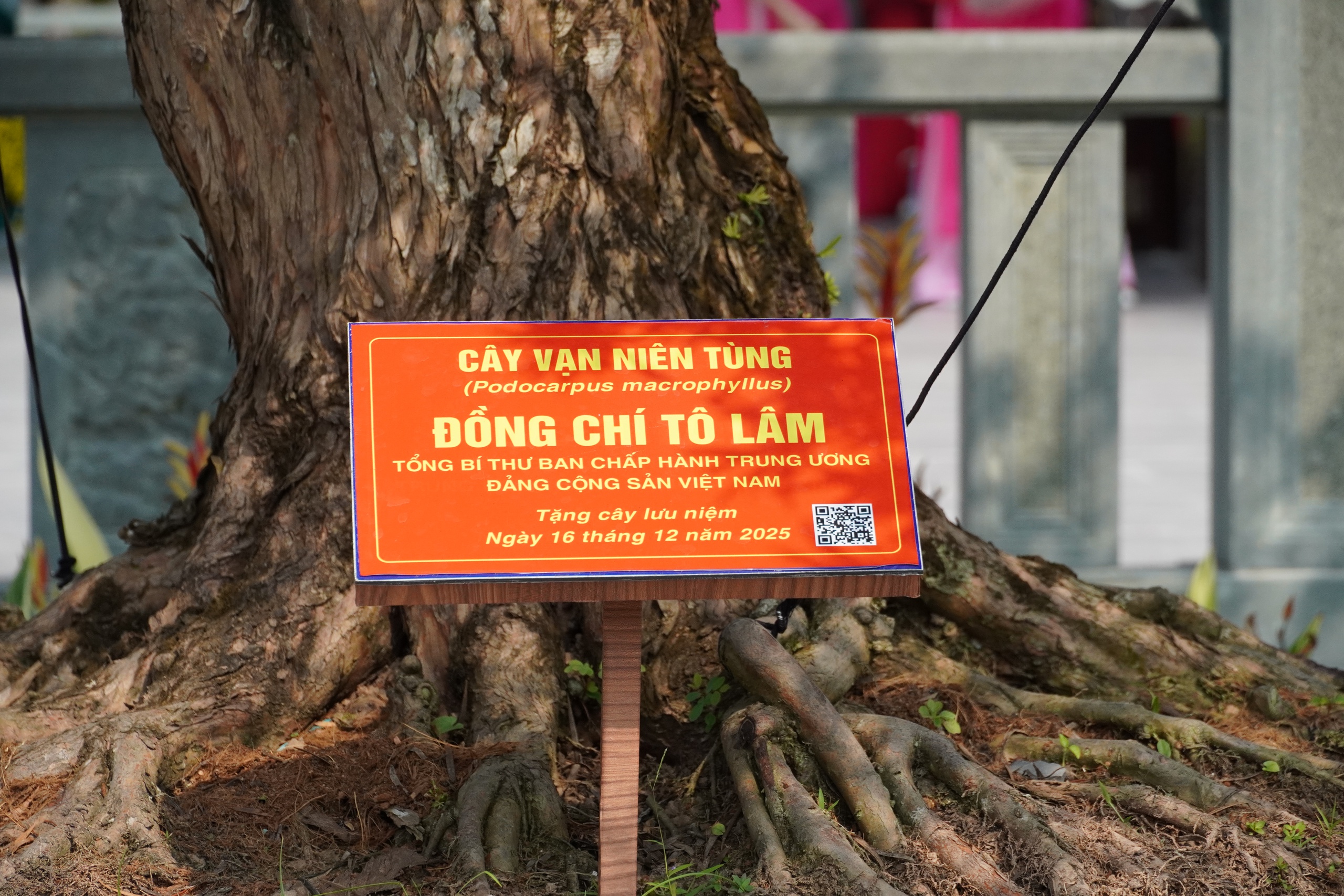 Những “địa chỉ đỏ” không thể bỏ qua khi đến Đồng Tháp 14 Những “địa chỉ đỏ” không thể bỏ qua khi đến Đồng Tháp - Ảnh 14.