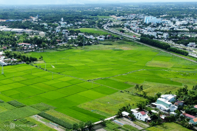 Đồng ruộng Tam Kỳ ngày nay trù phú, chính nhờ công ông Hồ Nghinh làm hồ thủy lợi Phú Ninh. Ảnh: Nguyễn Đông