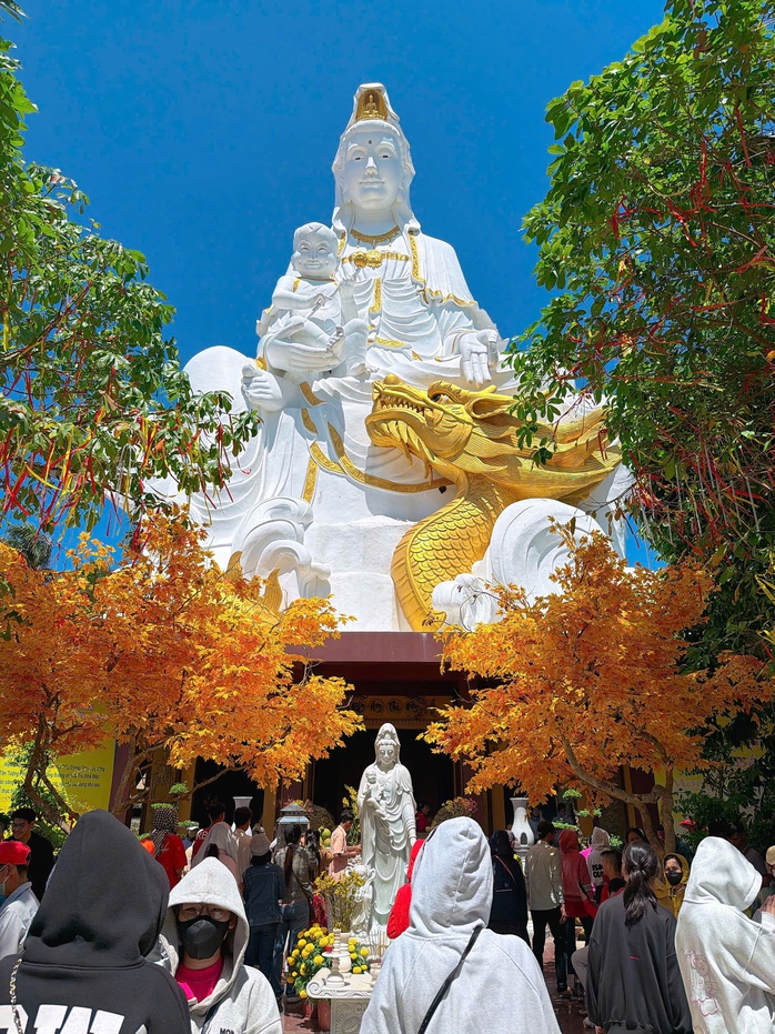 Người dân Cà Mau và Đồng Tháp chen chân cầu bình an ngày Tết 2026 - Ảnh 11.