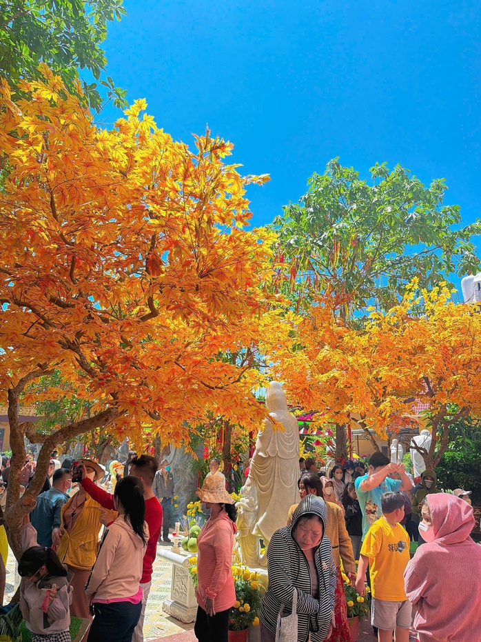 Người dân Cà Mau và Đồng Tháp chen chân cầu bình an ngày Tết 2026 - Ảnh 12.