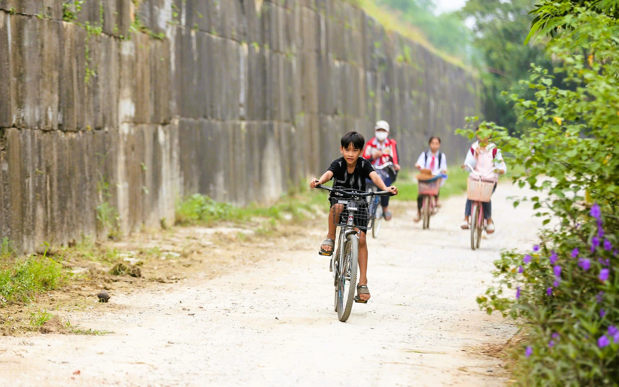 Khôi phục lại Kinh đô cổ nhất Đông Nam Á- Ảnh 10. img