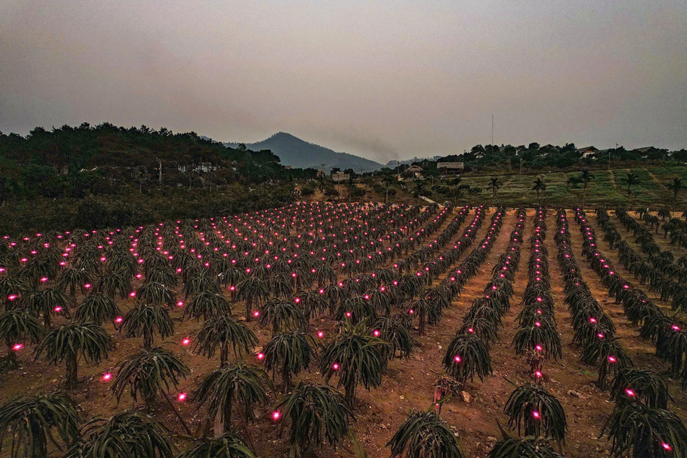 Video máy bay cất cánh lúc Giao thừa, pháo hoa rợp trời ở Việt Nam gây sốt - 3