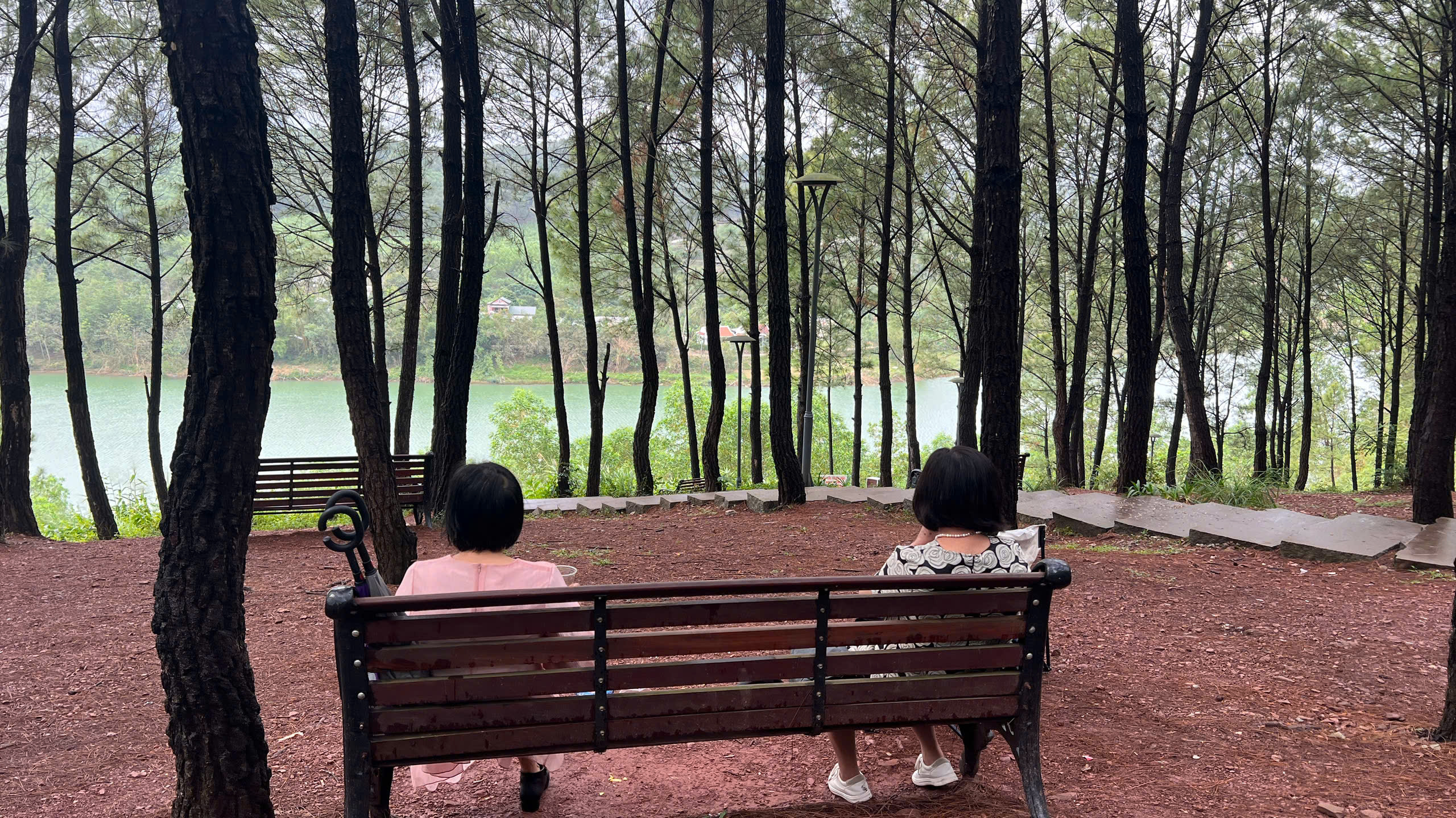 Có một ngọn đồi ở Huế khiến du khách muốn đứng thật lâu, nói ít lại và "cảm" nhiều hơn 3 Có một ngọn đồi ở Huế khiến du khách muốn đứng thật lâu, nói ít lại và