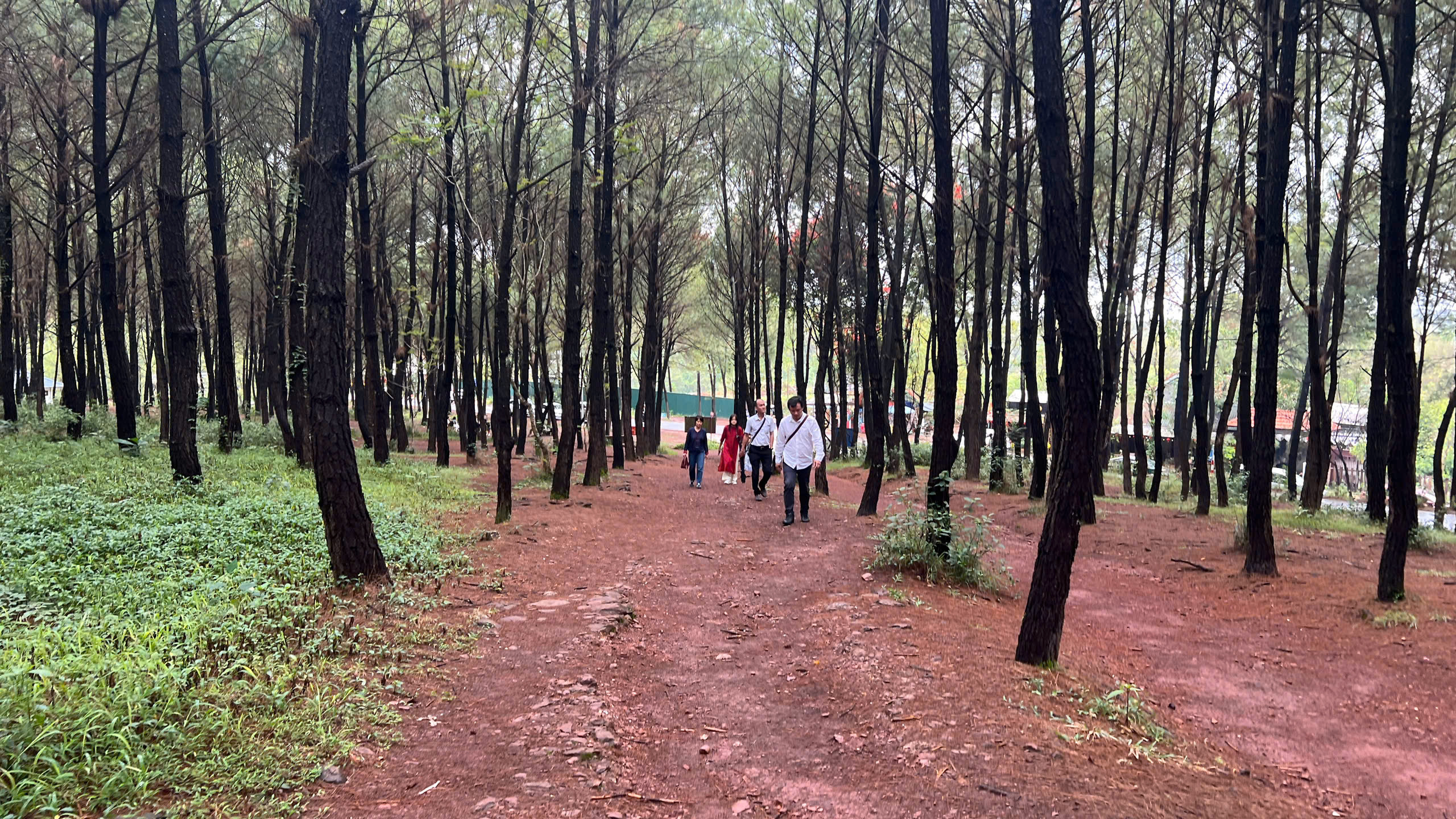 Có một ngọn đồi ở Huế khiến du khách muốn đứng thật lâu, nói ít lại và "cảm" nhiều hơn 4 Có một ngọn đồi ở Huế khiến du khách muốn đứng thật lâu, nói ít lại và