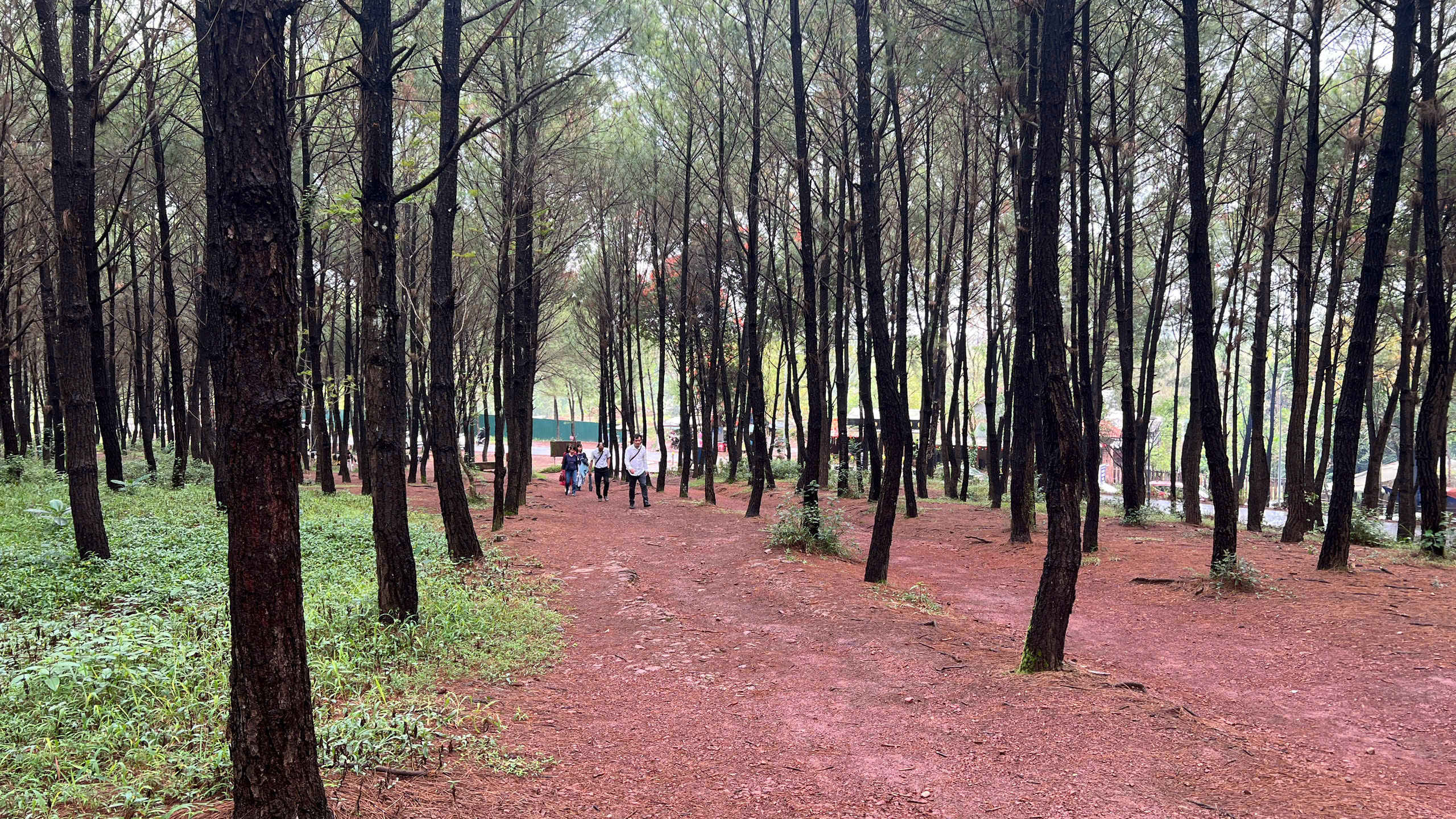 Có một ngọn đồi ở Huế khiến du khách muốn đứng thật lâu, nói ít lại và "cảm" nhiều hơn 5 Có một ngọn đồi ở Huế khiến du khách muốn đứng thật lâu, nói ít lại và