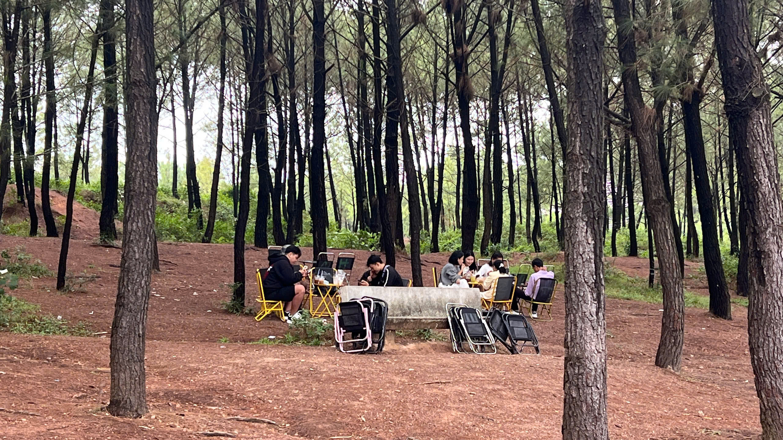 Có một ngọn đồi ở Huế khiến du khách muốn đứng thật lâu, nói ít lại và "cảm" nhiều hơn 6 Có một ngọn đồi ở Huế khiến du khách muốn đứng thật lâu, nói ít lại và