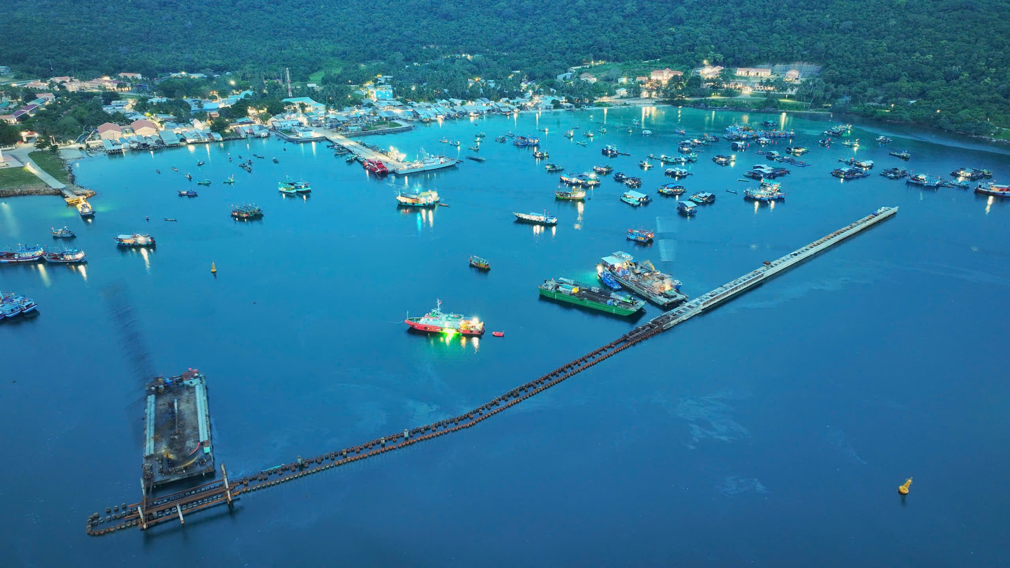 Năm Ngọ kể chuyện cá ngựa bố mang thai- Ảnh 4.