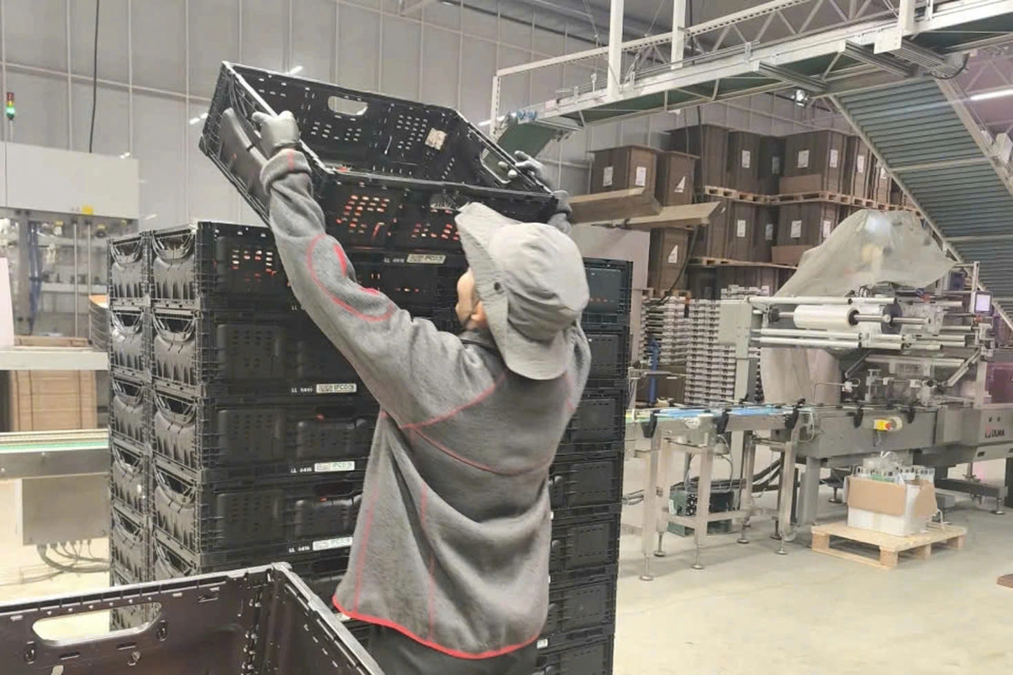 Tết xa quê vẫn ấm áp: Khi người xa xứ tự giữ lửa mùa xuân - Ảnh 11.