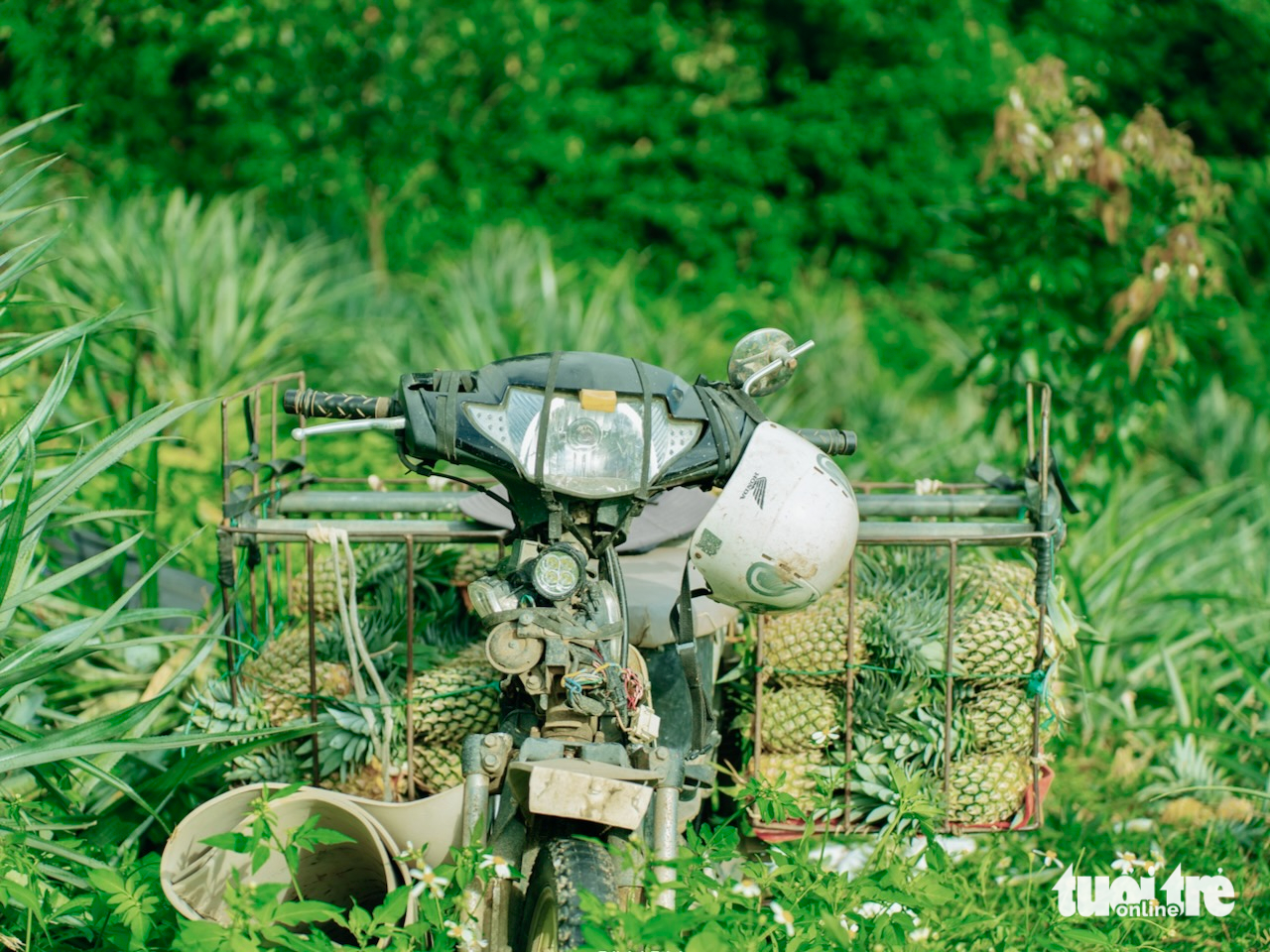 thung lũng Đồng Din - Ảnh 8.