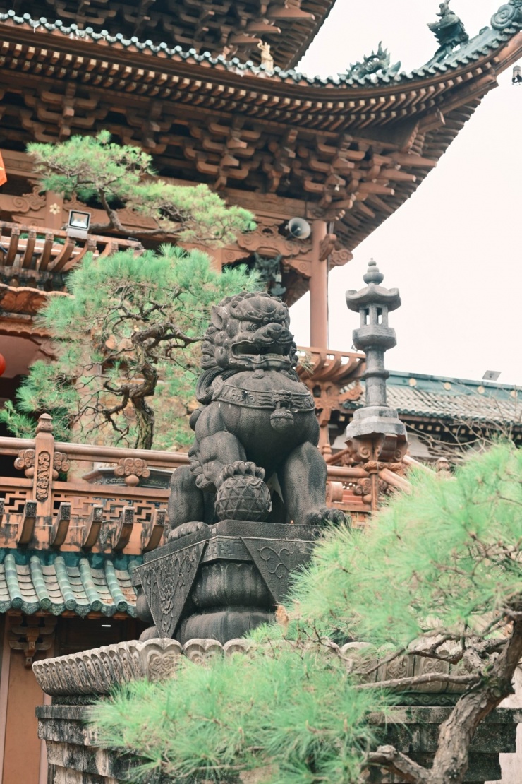 Du xuân chùa Minh Thành cùng Huỳnh Quang Nhật 8 Du xuân chùa Minh Thành cùng Huỳnh Quang Nhật - 7