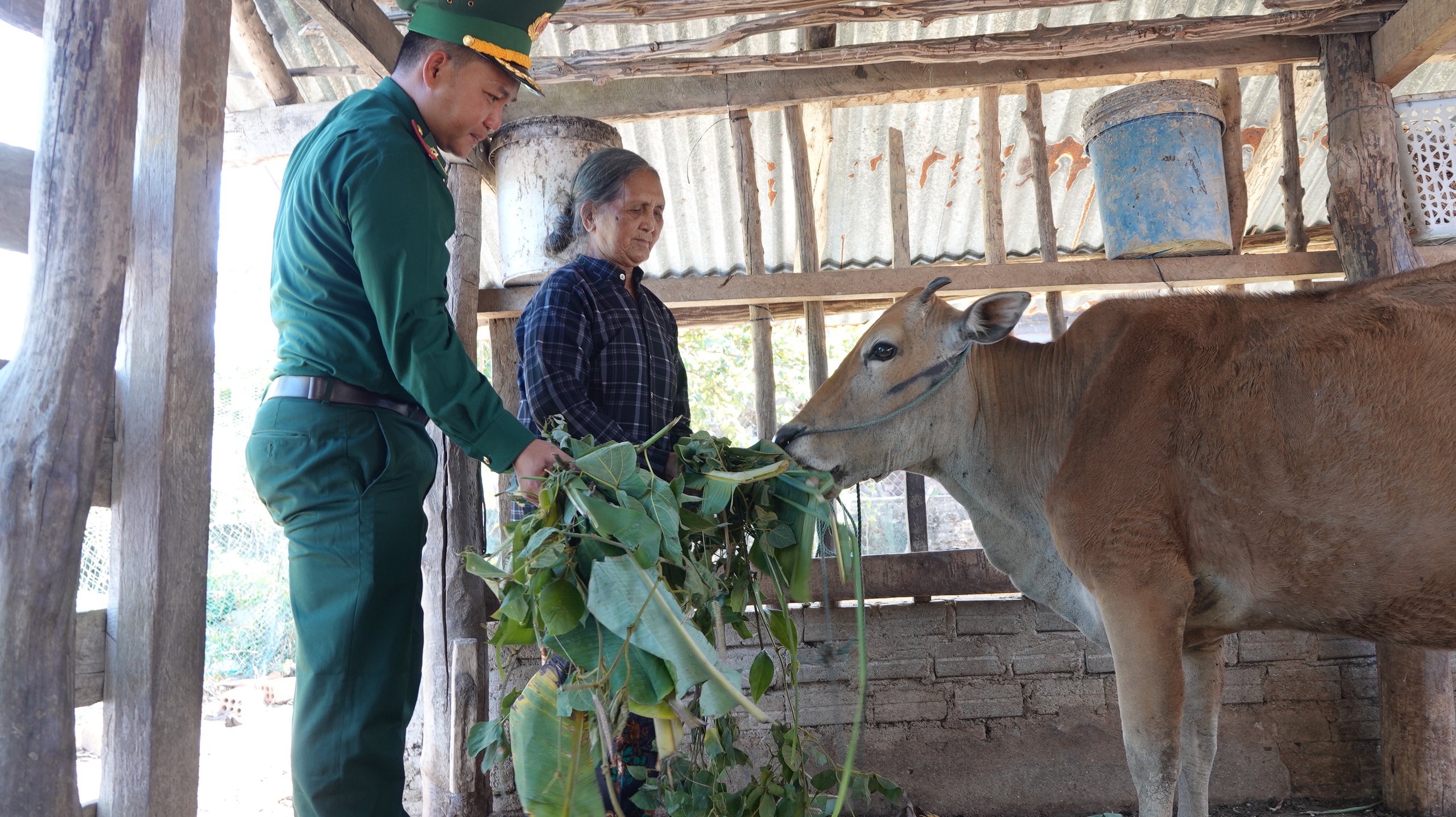 Tết ấm biên cương ở Quảng Ngãi, gieo 'hạt giống' nơi Dục Nông hút gió- Ảnh 4. Tết ấm biên cương ở Quảng Ngãi, gieo 'hạt giống' nơi Dục Nông hút gió- Ảnh 4.