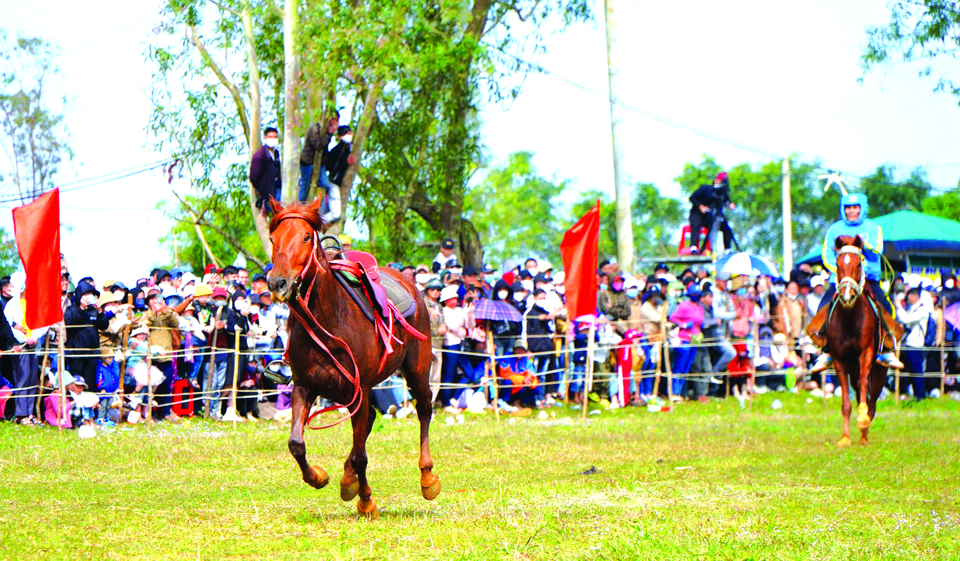 Cười ngất Với hội đua ngựa thồ - Ảnh 3.