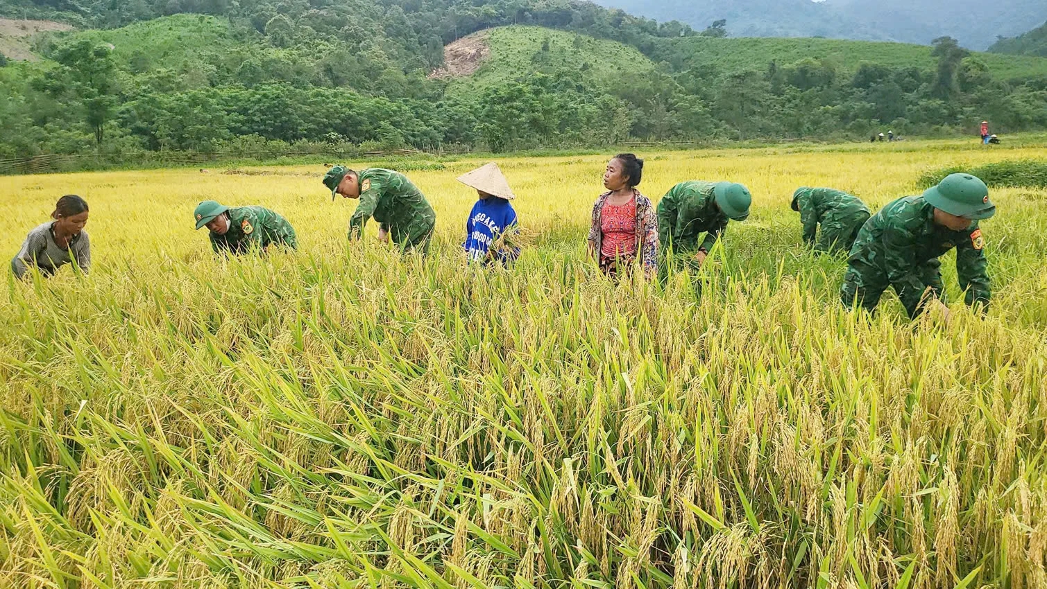 Bí ẩn người Rục: Hành trình từ hang đá đến Báo vàng Locarno - Ảnh 5.