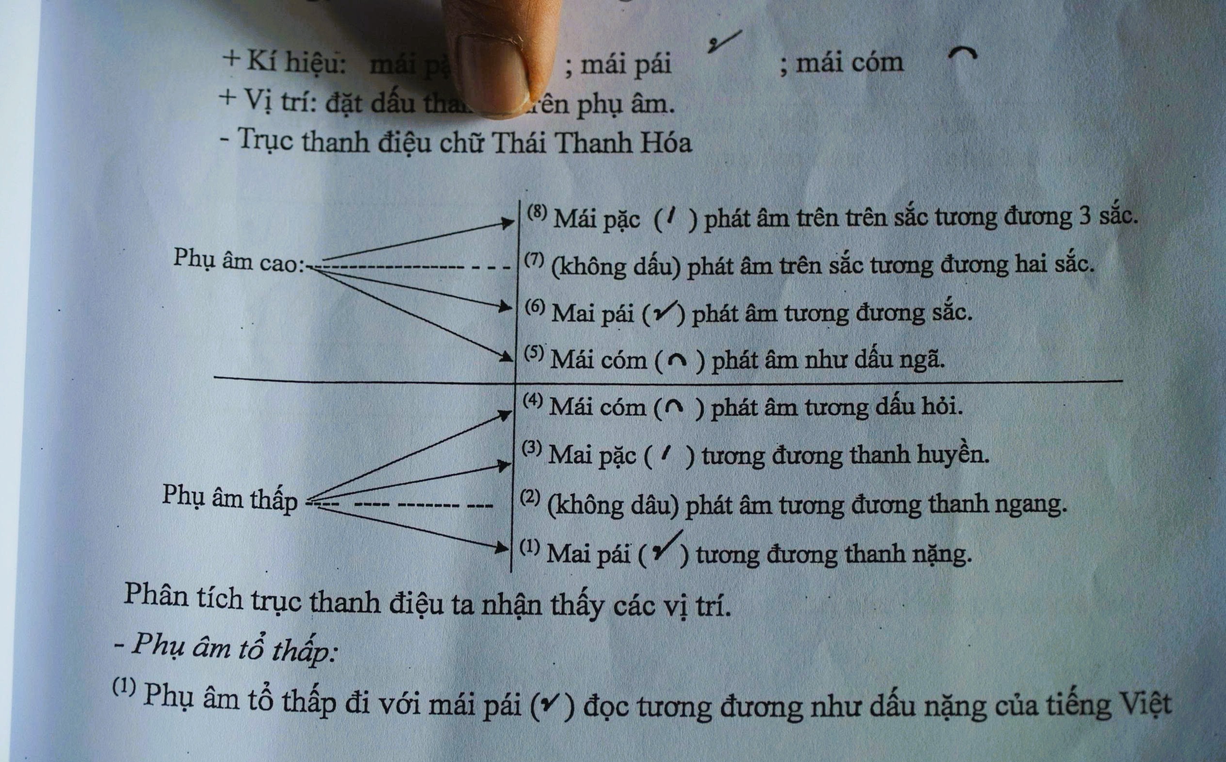 Người giữ hồn chữ Thái cổ - Ảnh 4.