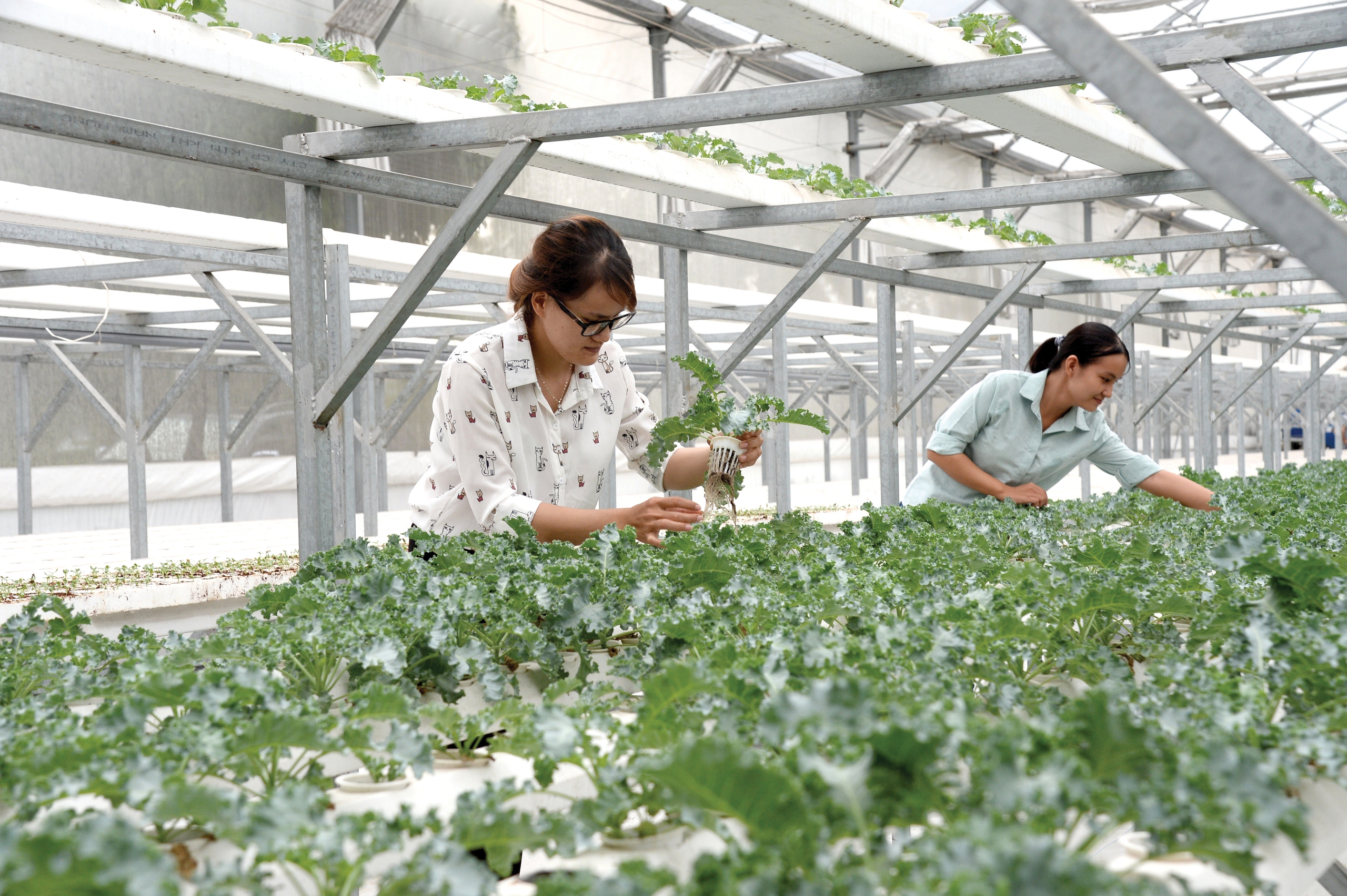 Việt Nam vững vàng hơn giữa biến động - Ảnh 7.