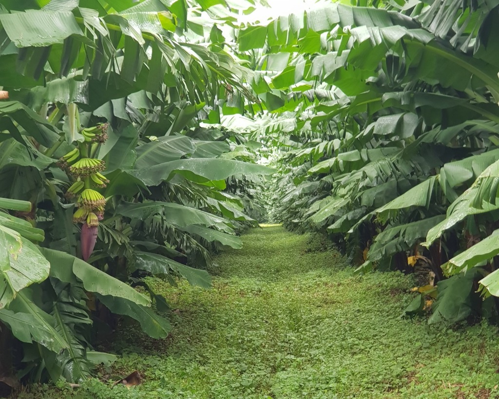 Ngày đặc biệt của bầu Đức: Hành trình phục hồi Tập đoàn Hoàng Anh Gia Lai 2026 - Ảnh 11.