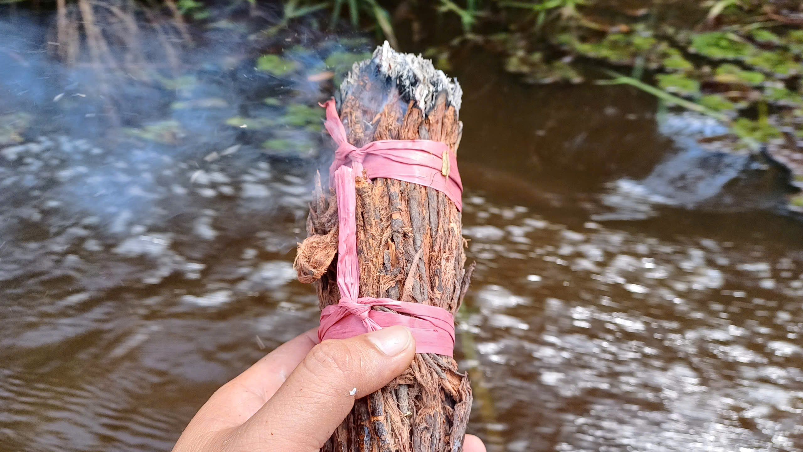 Trải nghiệm bắt ong mật ngày Tết 5 VIDEO: Trải nghiệm ăn ong ngày Tết - Ảnh 5.