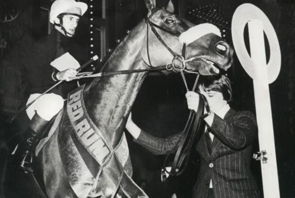 Những con ngựa nổi tiếng trong lịch sử - Ảnh 2.