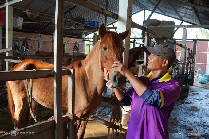 Nài bên con ngựa Ka KaKa tại trại ông Đặng Văn Lộc. Ảnh: Hoàng Nam