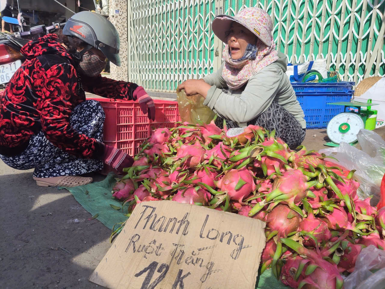 Giá thanh long Tây Ninh Tết Bính Ngọ 2026 và những lo lắng của nông dân - Ảnh 11.