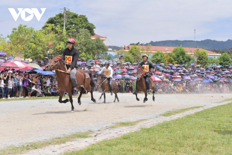 Đến Bắc Hà nghe chuyện vó ngựa trên cao nguyên trắng 7 Ngựa Bắc Hà đua không yên, nài ngựa phải dùng đôi chân trần kẹp chặt vào hông ngựa