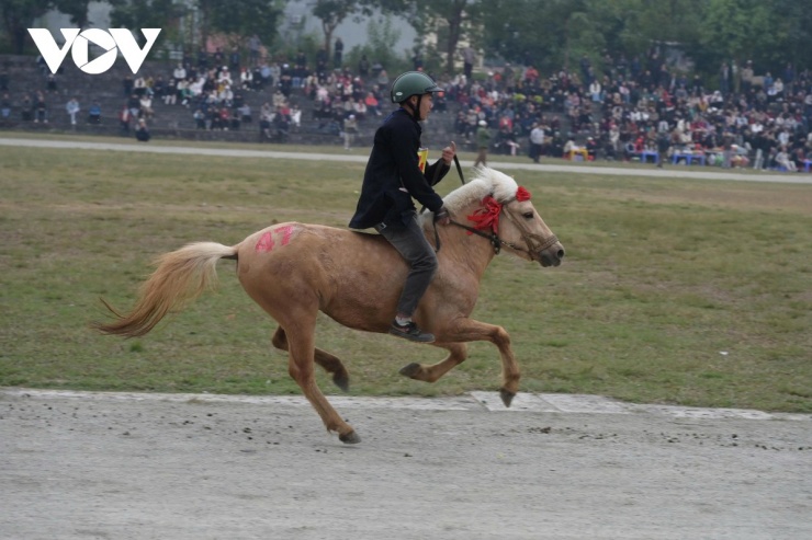 Đến Bắc Hà nghe chuyện vó ngựa trên cao nguyên trắng 8 Đầu giờ chiều, dù chưa đến giờ khai cuộc, nhưng sân vận động Bắc Hà vẫn nóng lên từng phút. Không khí náo nhiệt như ngày Tết thực thụ với sắc màu thổ cẩm rực rỡ. Những nhóm thiếu niên, nam thanh nữ tú vai đeo gùi hoa cải vàng ruộm tỏa đi khắp các khán đài để du khách hào hứng chụp ảnh cùng.