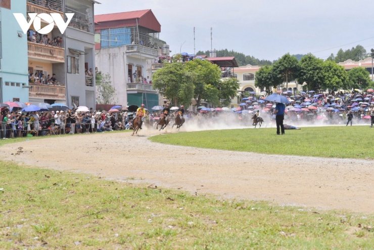 Đến Bắc Hà nghe chuyện vó ngựa trên cao nguyên trắng 9 Cuộc đua ngựa náo nhiệt, thu hút rất đông người xem.
