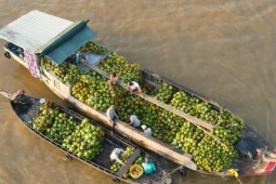 Hồn quê trên chợ nổi Long Xuyên