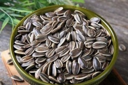 Cảnh báo ăn nhiều hạt hướng dương dịp Tết dễ bị sỏi thận