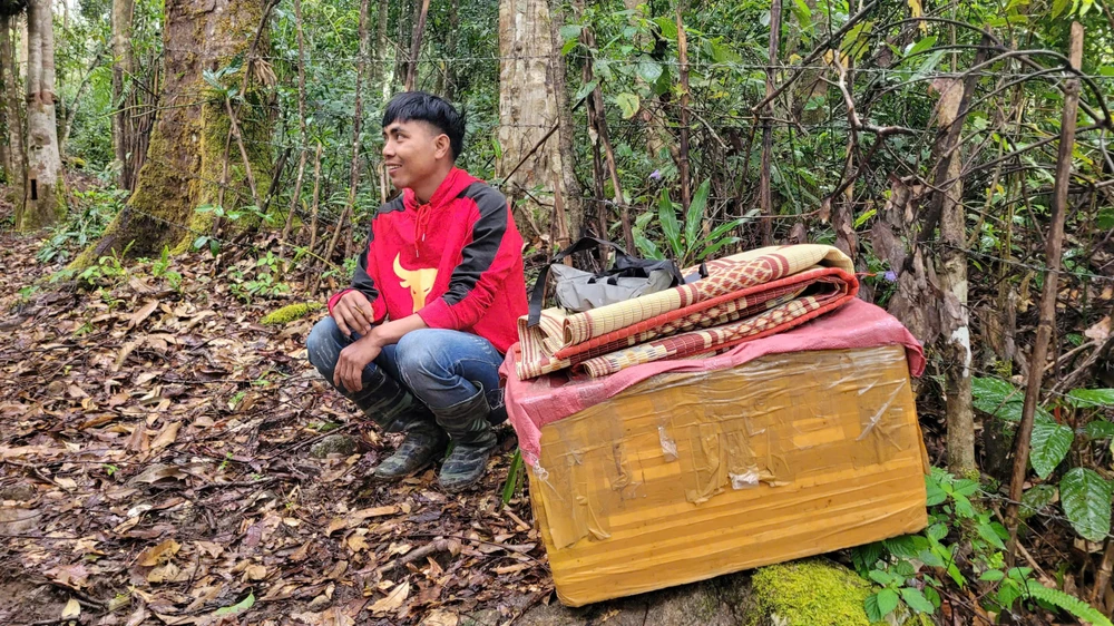 Đều đặn, cứ vào dịp Tết, bà con lại khăn gói vào rừng giữ cây "quốc bảo". 1000016626.jpg