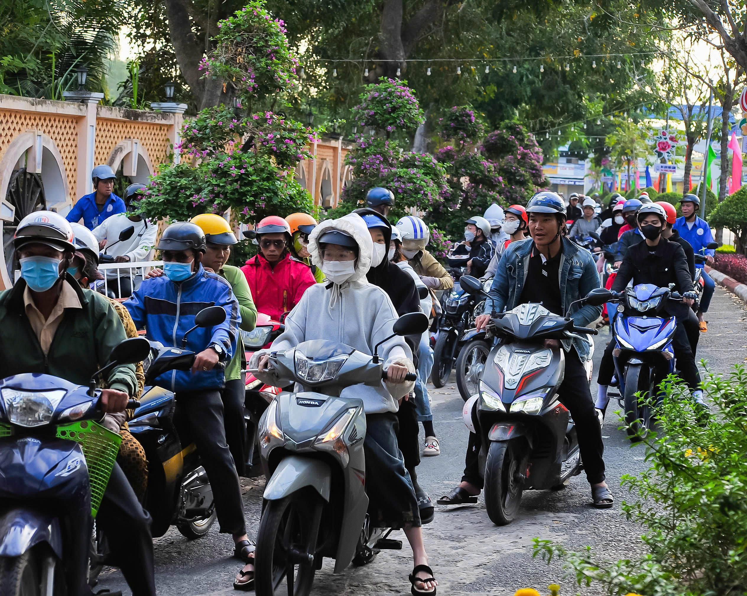 - Ảnh 2. - Ảnh 2.