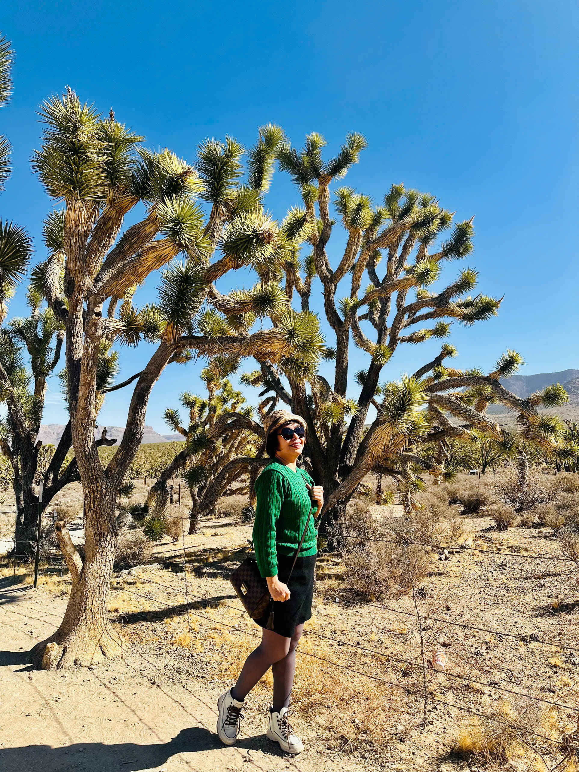 Arizona - câu chuyện của cát- Ảnh 2.