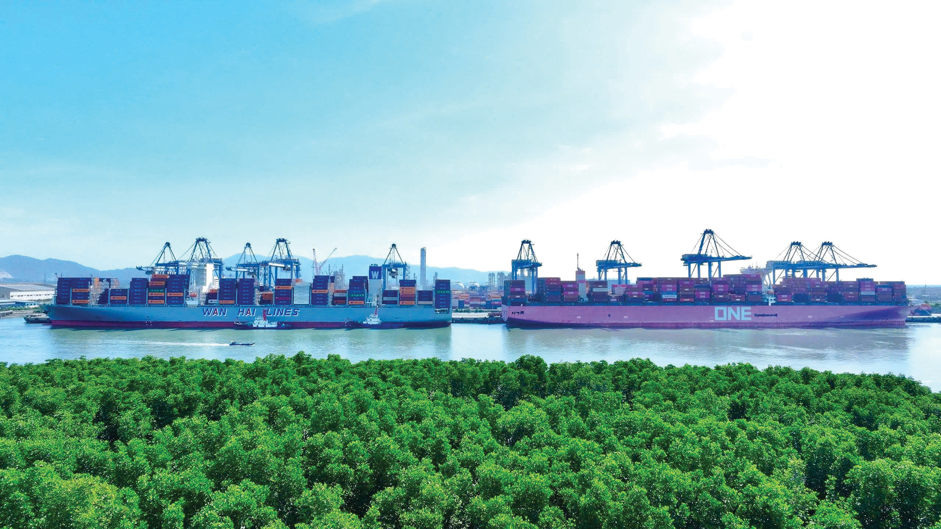 TP.HCM vươn tới đại dương - Ảnh 4.